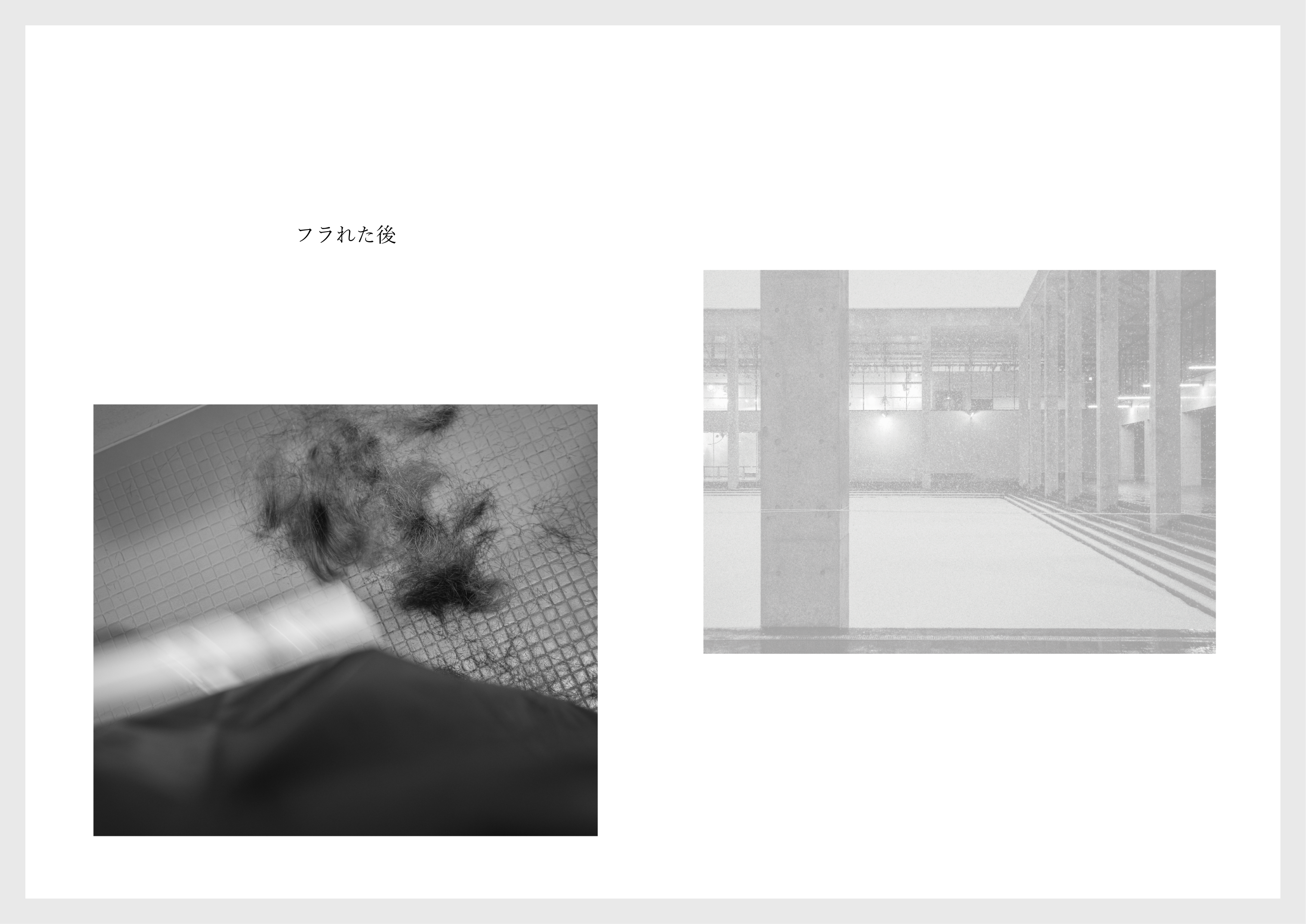 LITTLE TREE vol.2